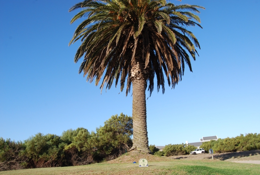 0 Bedroom Property for Sale in Shelley Point Western Cape